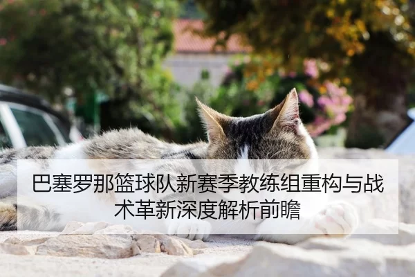 ba-sai-luo-na-lan-qiu-dui-xin-sai-ji-jiao-lian-zu-zhong-gou-yu-zhan-shu-ge-xin-shen-du-jie-xi-qian-zhan-2-341.jpg