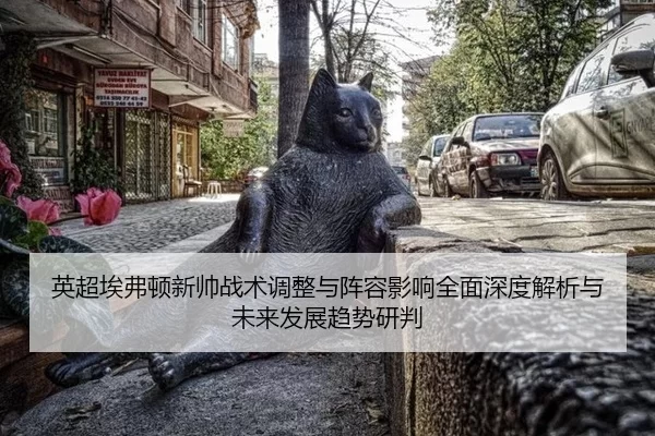 英超埃弗顿新帅战术调整与阵容影响全面深度解析与未来发展趋势研判